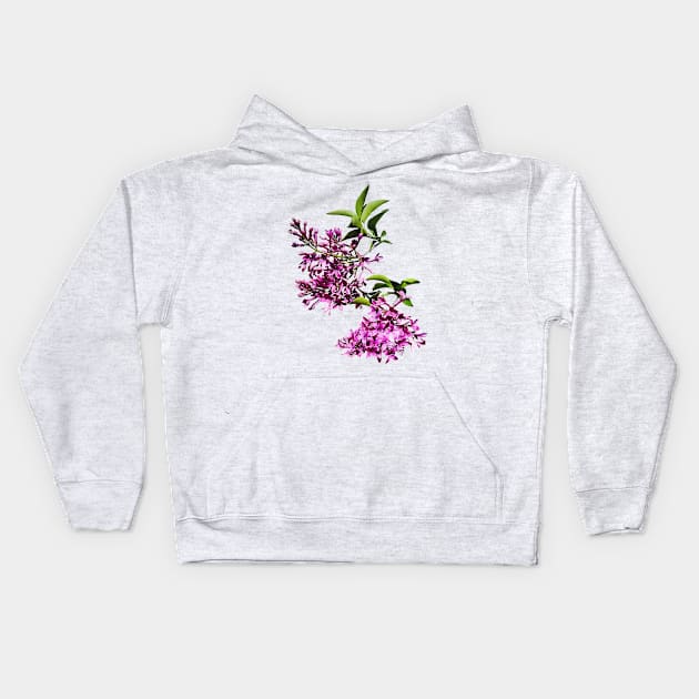 Pink Lilacs and Leaves Kids Hoodie by SusanSavad